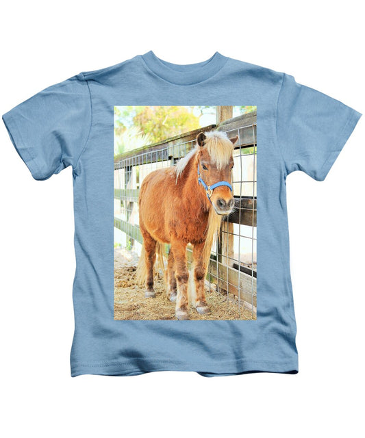 Shetland Pony in a Paddock - Kids T-Shirt