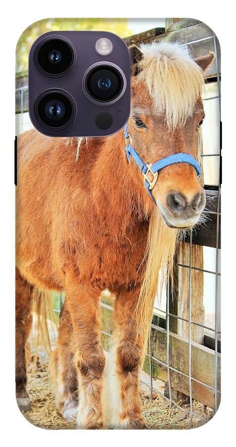 Shetland Pony in a Paddock - Phone Case