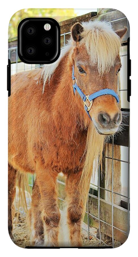 Shetland Pony in a Paddock - Phone Case