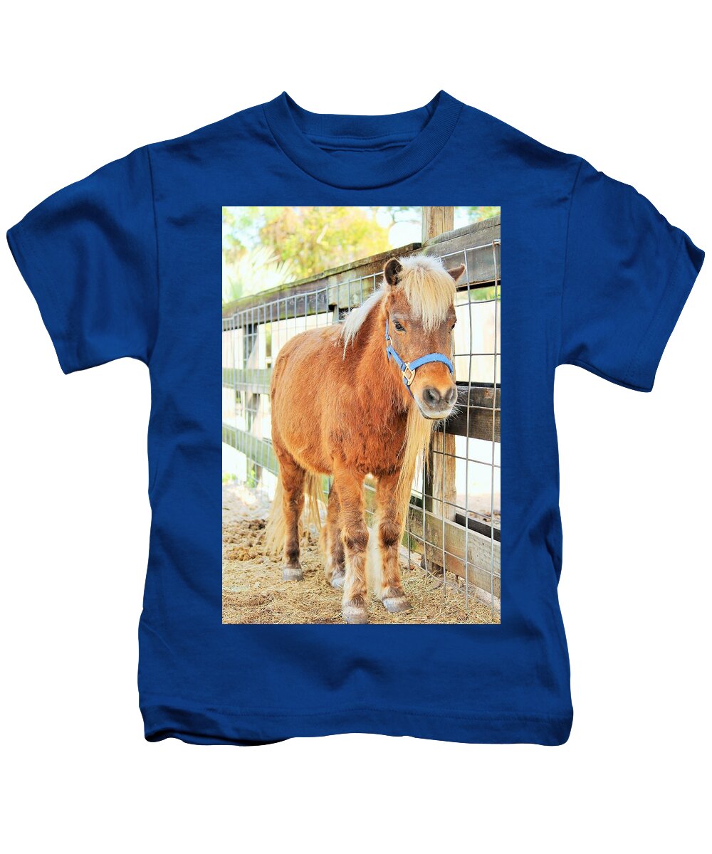 Shetland Pony in a Paddock - Kids T-Shirt