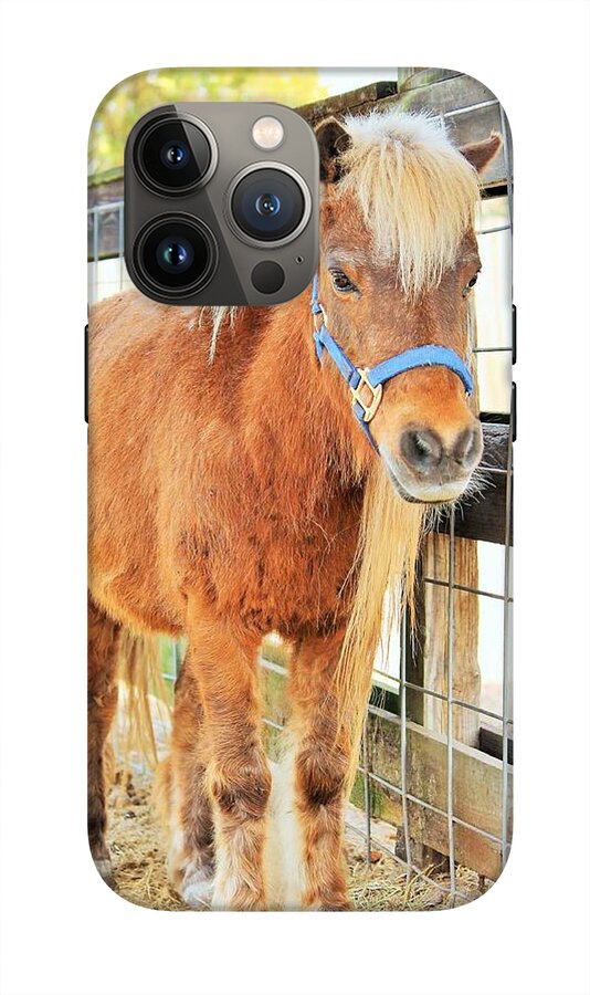 Shetland Pony in a Paddock - Phone Case