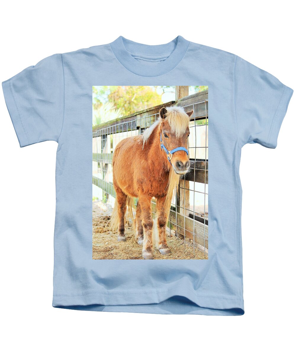 Shetland Pony in a Paddock - Kids T-Shirt