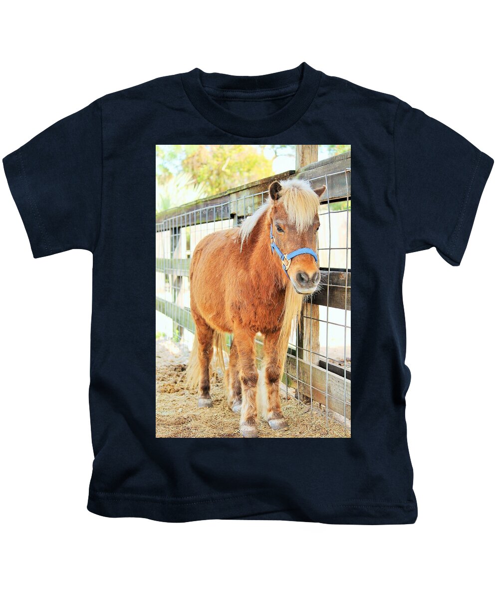 Shetland Pony in a Paddock - Kids T-Shirt