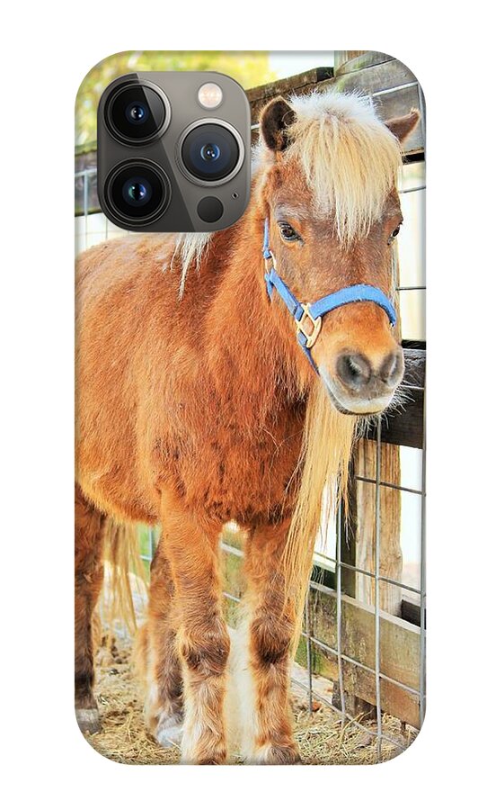 Shetland Pony in a Paddock - Phone Case