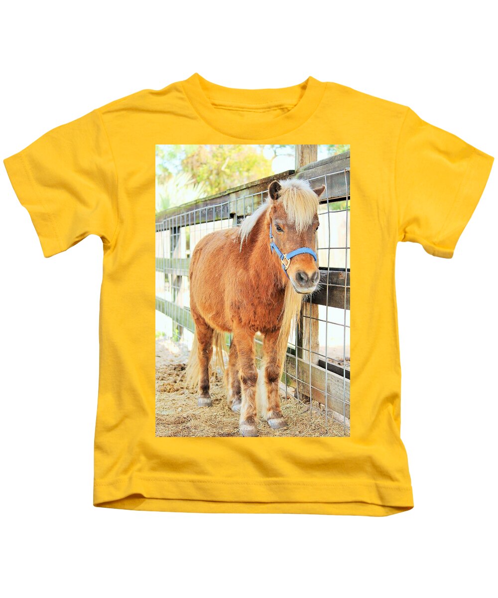 Shetland Pony in a Paddock - Kids T-Shirt