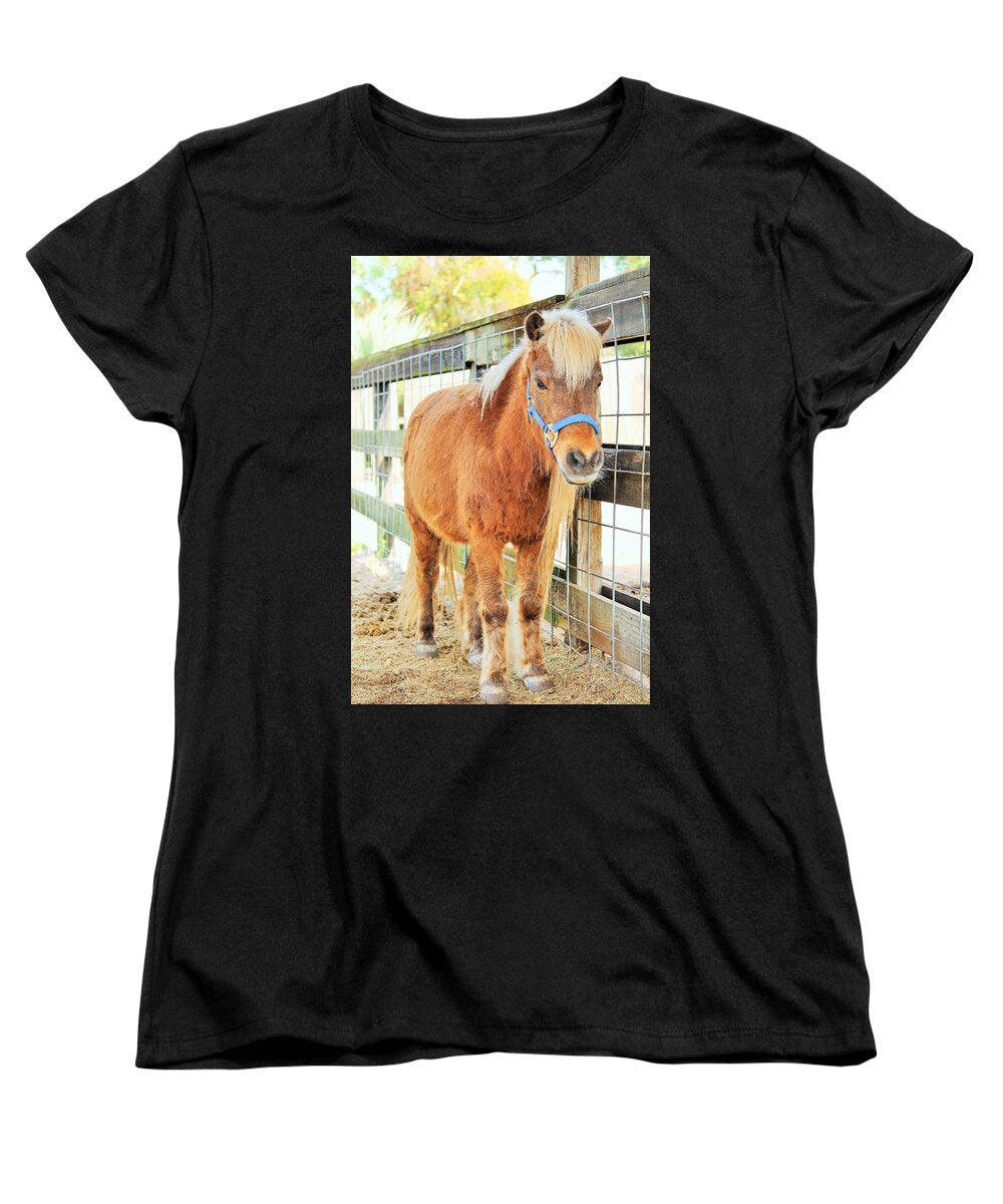 Shetland Pony in a Paddock - Women's T-Shirt (Standard Fit)