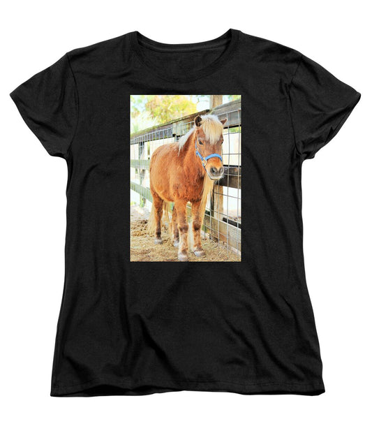 Shetland Pony in a Paddock - Women's T-Shirt (Standard Fit)