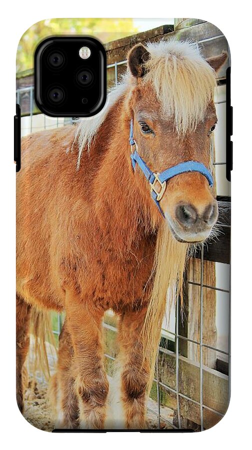 Shetland Pony in a Paddock - Phone Case