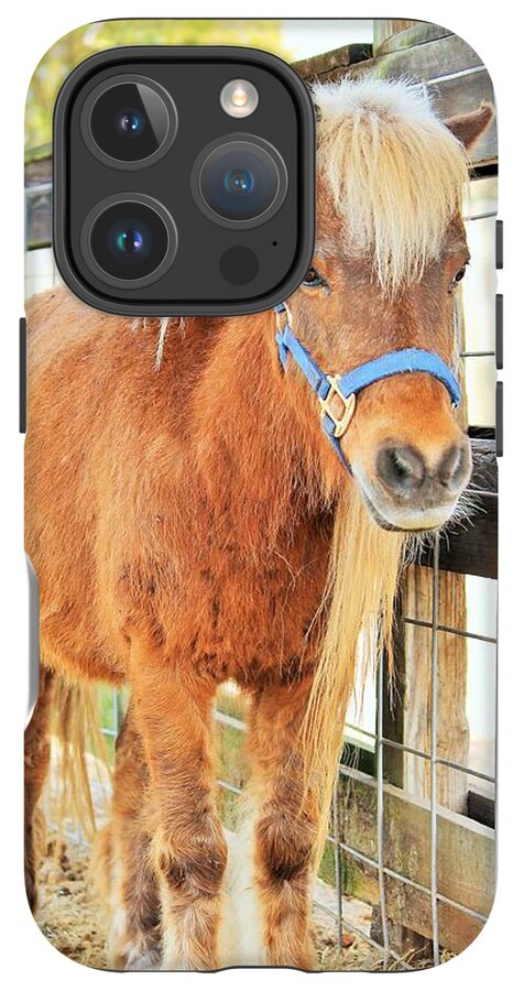 Shetland Pony in a Paddock - Phone Case