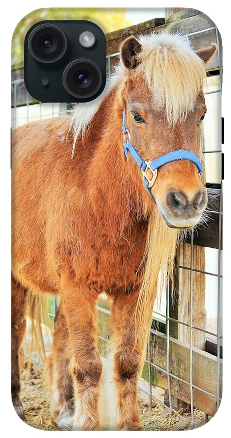 Shetland Pony in a Paddock - Phone Case
