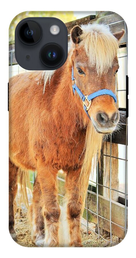 Shetland Pony in a Paddock - Phone Case