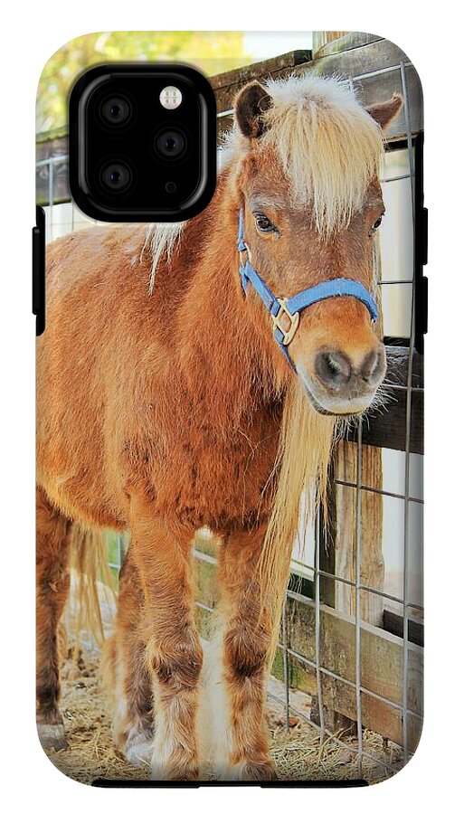 Shetland Pony in a Paddock - Phone Case