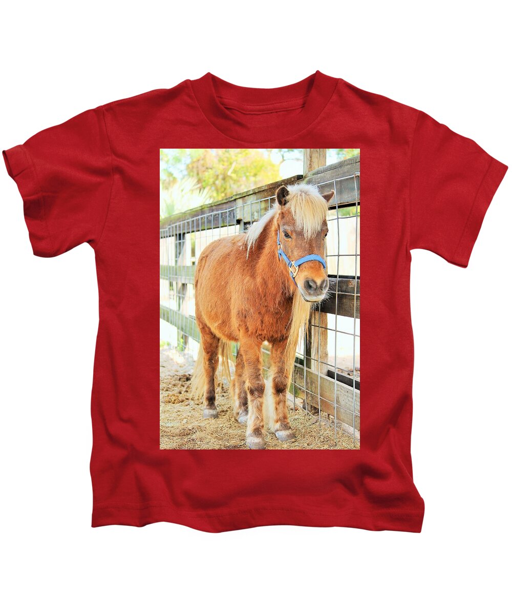 Shetland Pony in a Paddock - Kids T-Shirt