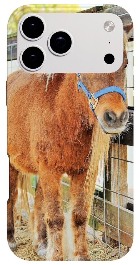 Shetland Pony in a Paddock - Phone Case