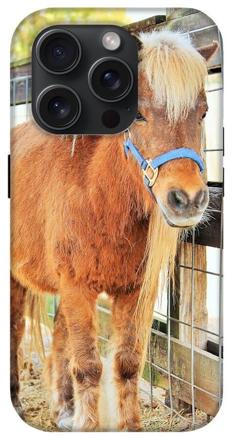 Shetland Pony in a Paddock - Phone Case