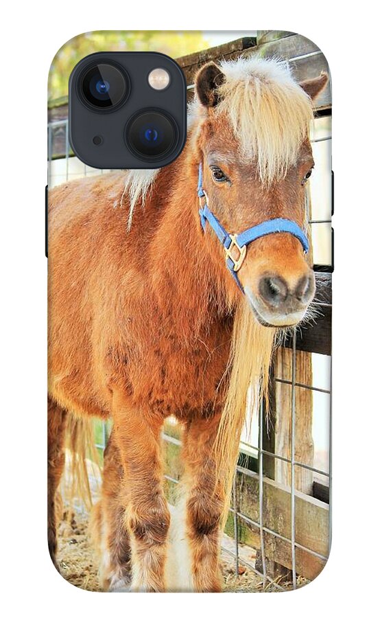 Shetland Pony in a Paddock - Phone Case