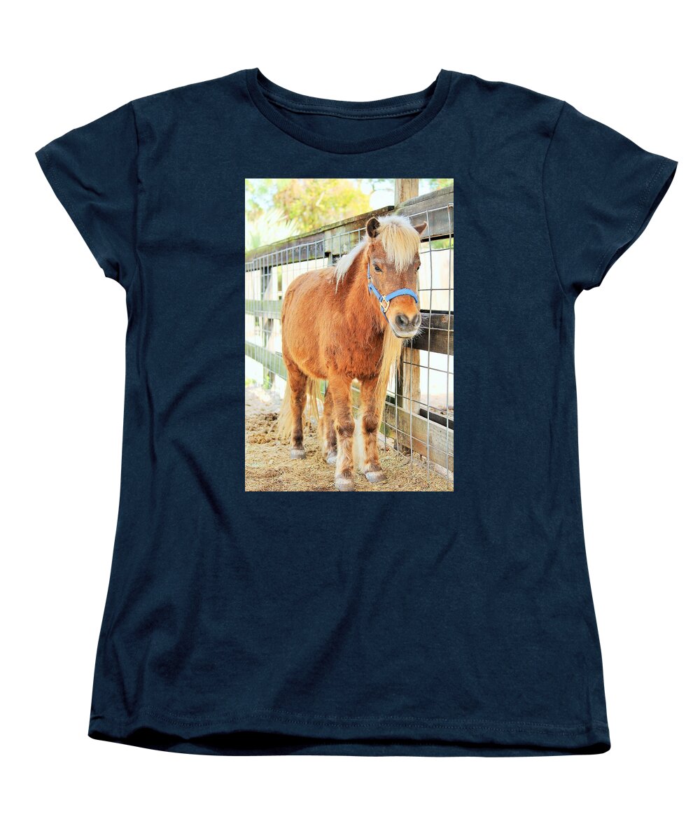 Shetland Pony in a Paddock - Women's T-Shirt (Standard Fit)