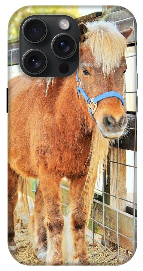 Shetland Pony in a Paddock - Phone Case