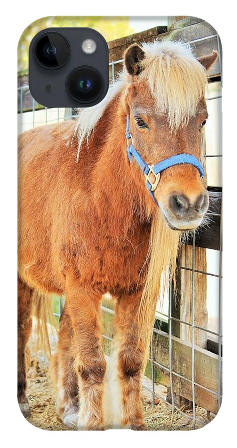 Shetland Pony in a Paddock - Phone Case
