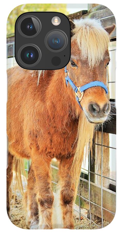 Shetland Pony in a Paddock - Phone Case