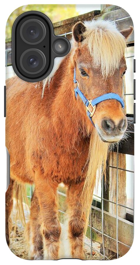 Shetland Pony in a Paddock - Phone Case