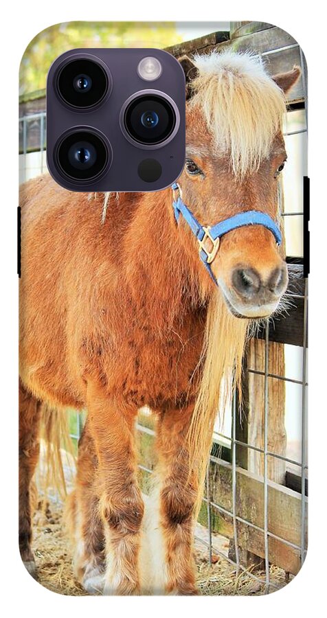 Shetland Pony in a Paddock - Phone Case