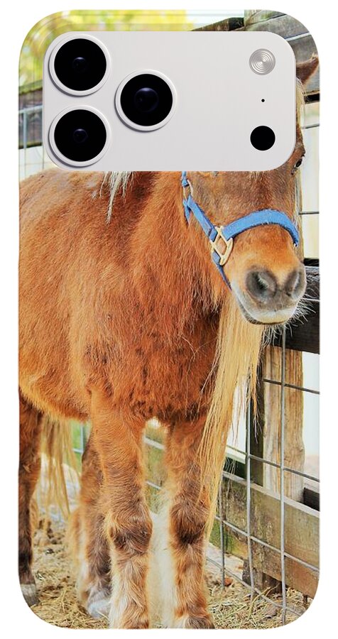 Shetland Pony in a Paddock - Phone Case