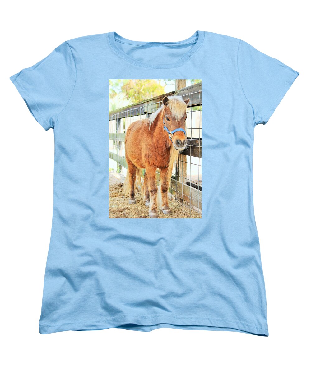 Shetland Pony in a Paddock - Women's T-Shirt (Standard Fit)