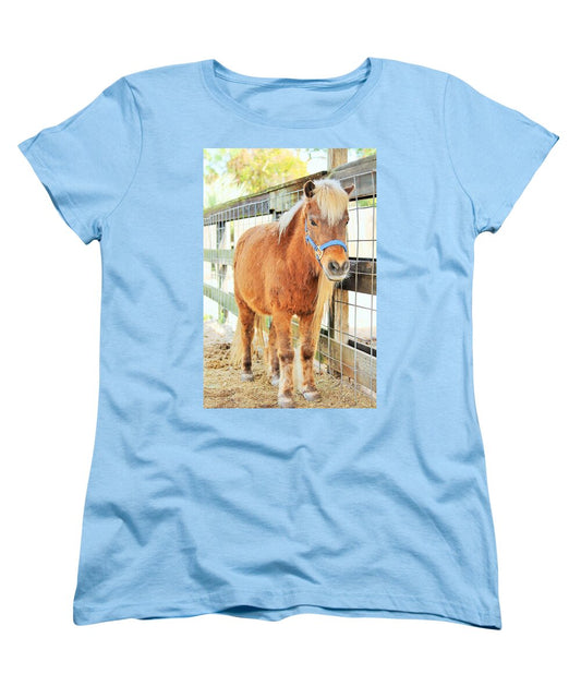 Shetland Pony in a Paddock - Women's T-Shirt (Standard Fit)