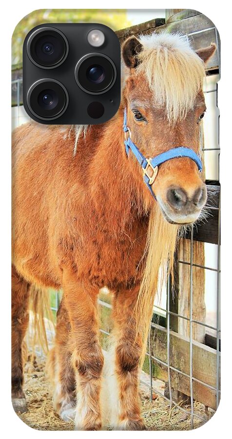 Shetland Pony in a Paddock - Phone Case