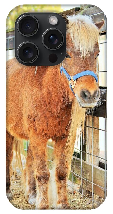 Shetland Pony in a Paddock - Phone Case