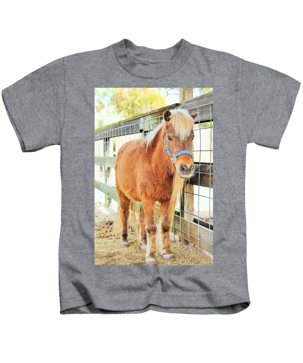 Shetland Pony in a Paddock - Kids T-Shirt