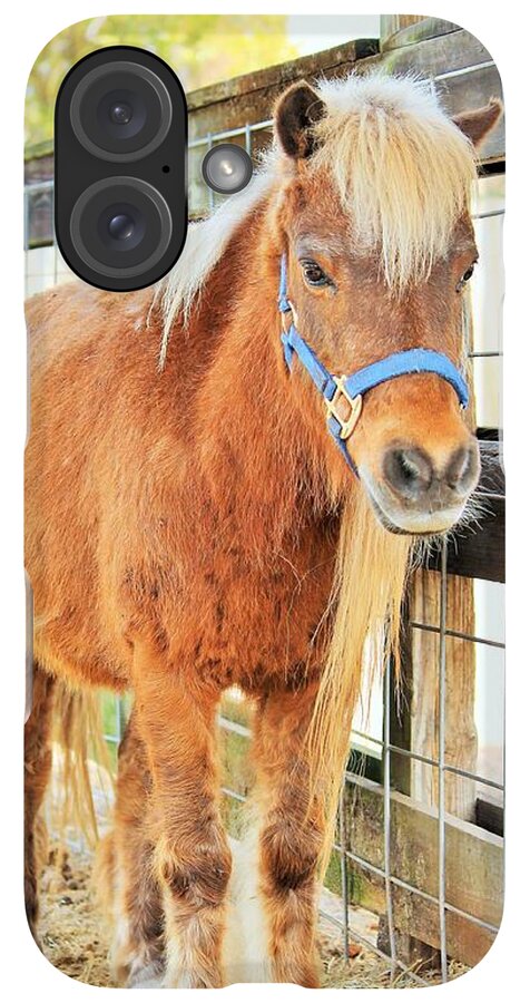 Shetland Pony in a Paddock - Phone Case
