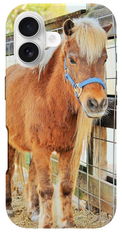 Shetland Pony in a Paddock - Phone Case