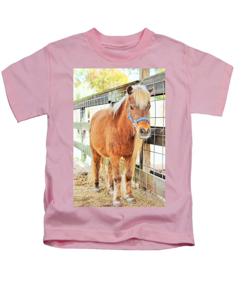 Shetland Pony in a Paddock - Kids T-Shirt