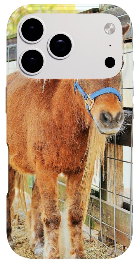 Shetland Pony in a Paddock - Phone Case