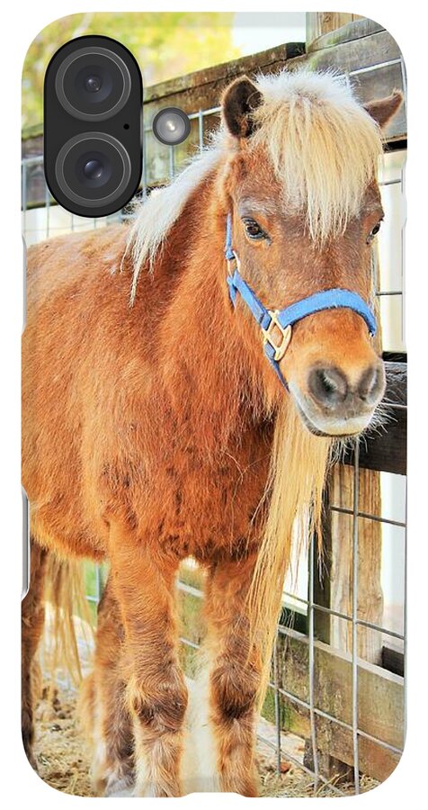 Shetland Pony in a Paddock - Phone Case