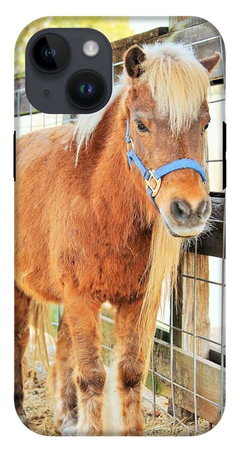 Shetland Pony in a Paddock - Phone Case