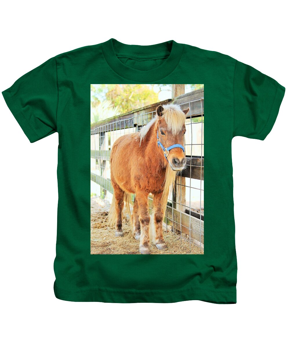Shetland Pony in a Paddock - Kids T-Shirt