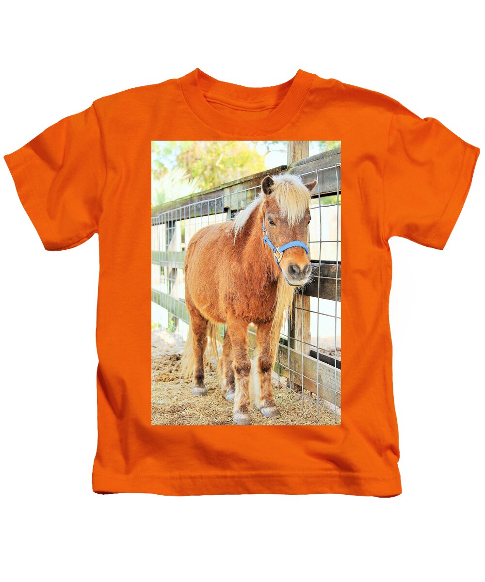 Shetland Pony in a Paddock - Kids T-Shirt