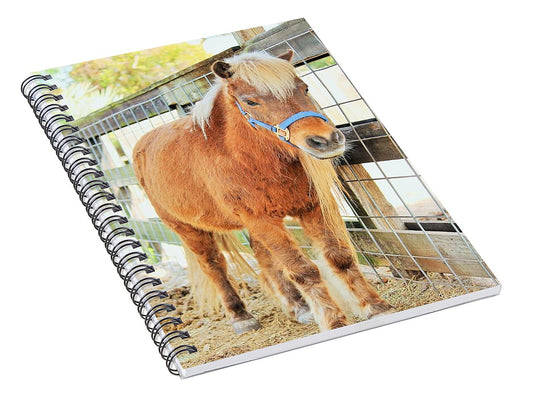 Shetland Pony in a Paddock - Spiral Notebook