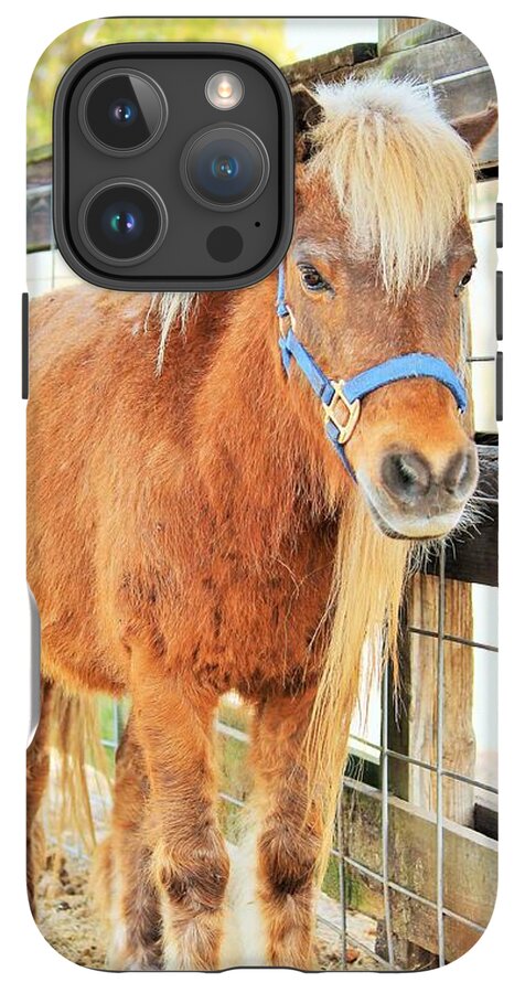 Shetland Pony in a Paddock - Phone Case