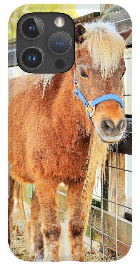 Shetland Pony in a Paddock - Phone Case