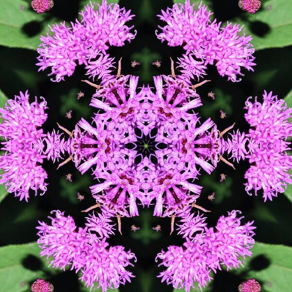 Vibrant Symmetrical Blossoms - Art Print